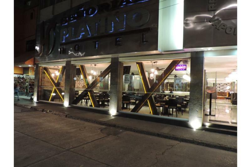 Hotel Senorial Platino Leon Ngoại thất bức ảnh